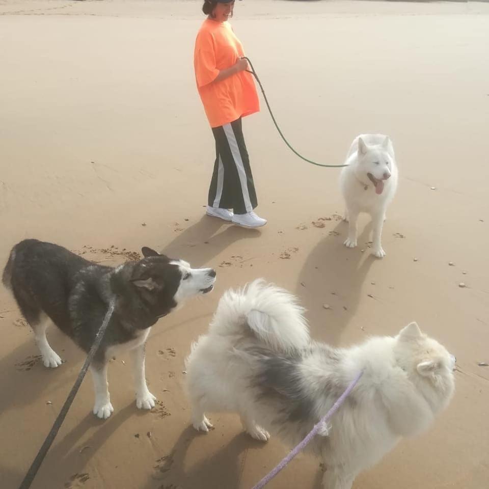 Jojo'S Bnb Mossel Bay Exteriör bild